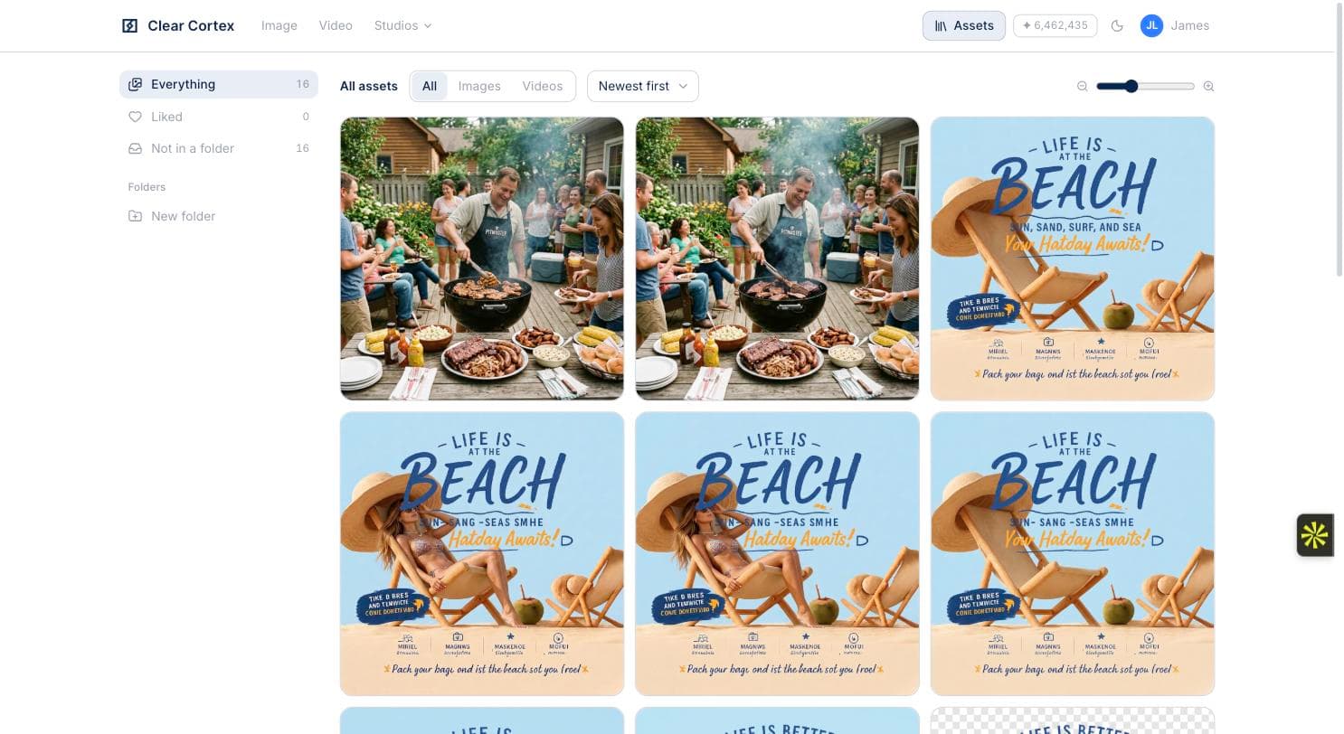 The Assets library showing every generated image newest first, with folders, a Liked view and the sort control set to Newest first